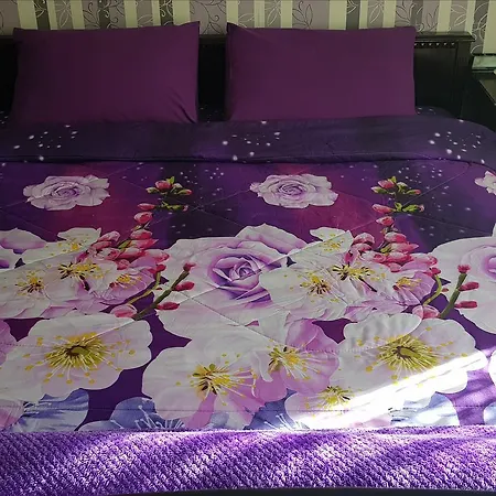 Hostel Libera Sofia